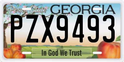 GA license plate PZX9493