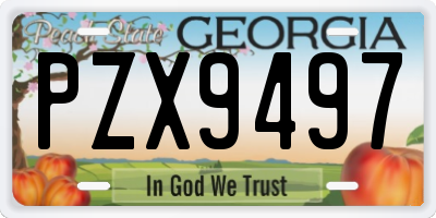GA license plate PZX9497