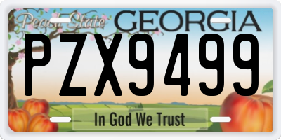 GA license plate PZX9499