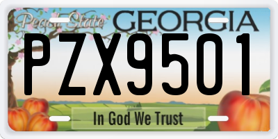 GA license plate PZX9501