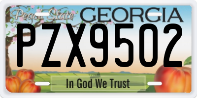 GA license plate PZX9502