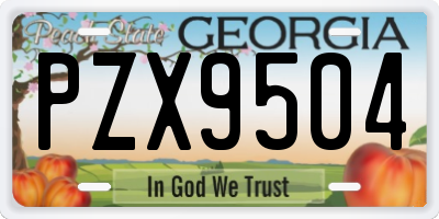 GA license plate PZX9504