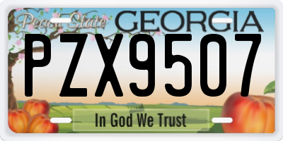 GA license plate PZX9507