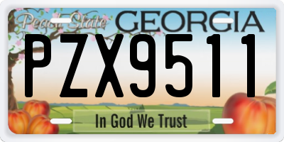 GA license plate PZX9511