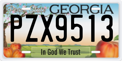 GA license plate PZX9513
