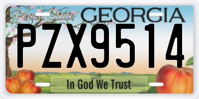 GA license plate PZX9514