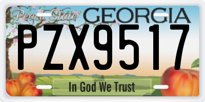 GA license plate PZX9517