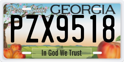GA license plate PZX9518