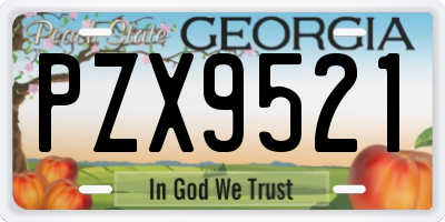 GA license plate PZX9521