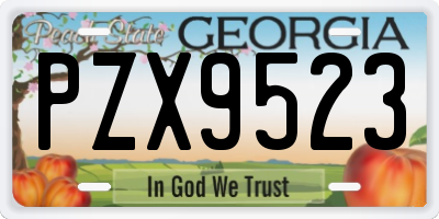 GA license plate PZX9523