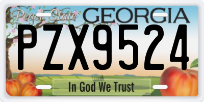 GA license plate PZX9524