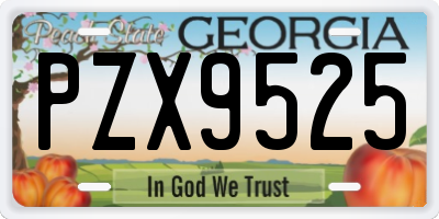 GA license plate PZX9525