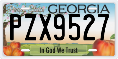 GA license plate PZX9527