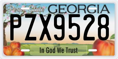 GA license plate PZX9528