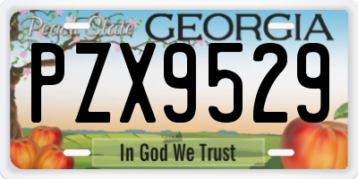 GA license plate PZX9529