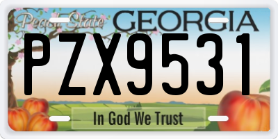 GA license plate PZX9531