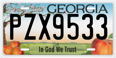 GA license plate PZX9533