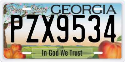 GA license plate PZX9534