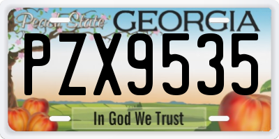GA license plate PZX9535
