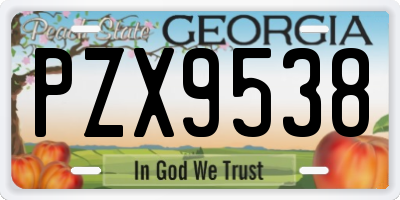 GA license plate PZX9538