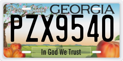 GA license plate PZX9540