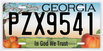 GA license plate PZX9541