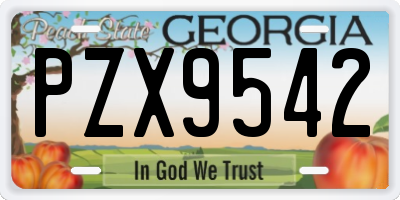 GA license plate PZX9542