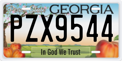GA license plate PZX9544