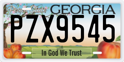 GA license plate PZX9545