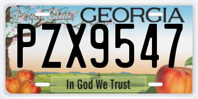 GA license plate PZX9547