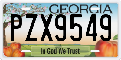 GA license plate PZX9549