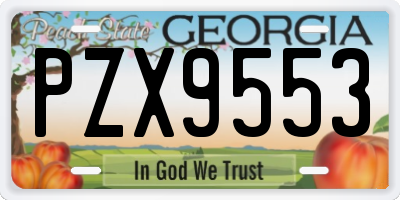 GA license plate PZX9553
