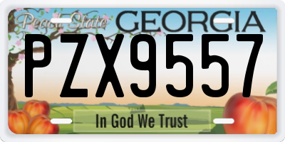 GA license plate PZX9557