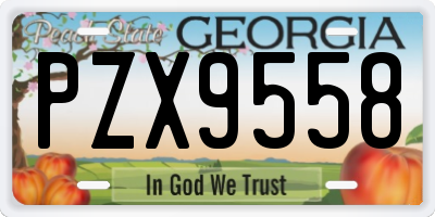 GA license plate PZX9558