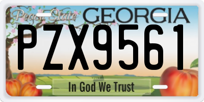 GA license plate PZX9561