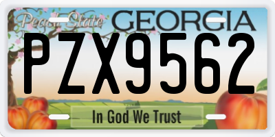 GA license plate PZX9562
