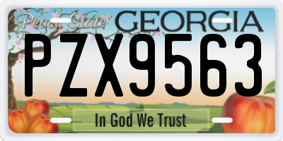 GA license plate PZX9563