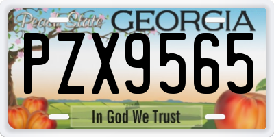 GA license plate PZX9565