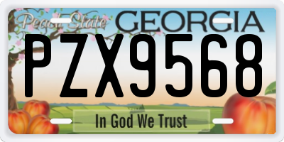 GA license plate PZX9568