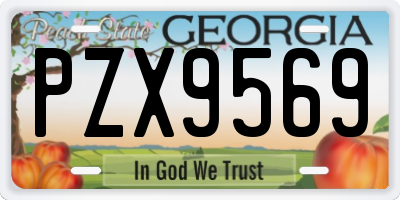 GA license plate PZX9569
