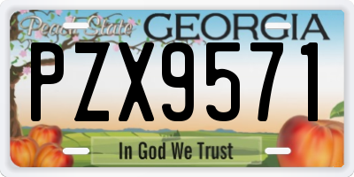 GA license plate PZX9571