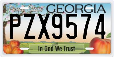 GA license plate PZX9574