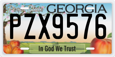 GA license plate PZX9576
