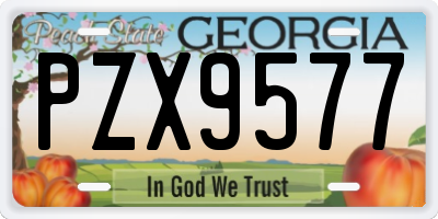 GA license plate PZX9577