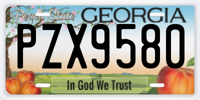 GA license plate PZX9580