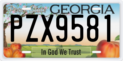GA license plate PZX9581