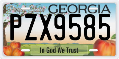 GA license plate PZX9585