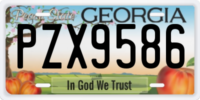 GA license plate PZX9586