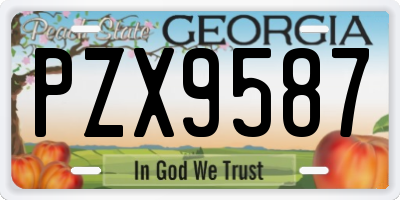 GA license plate PZX9587