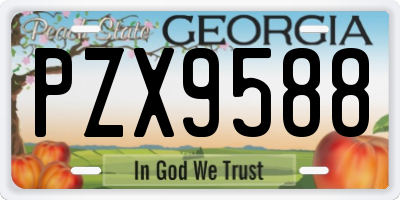 GA license plate PZX9588